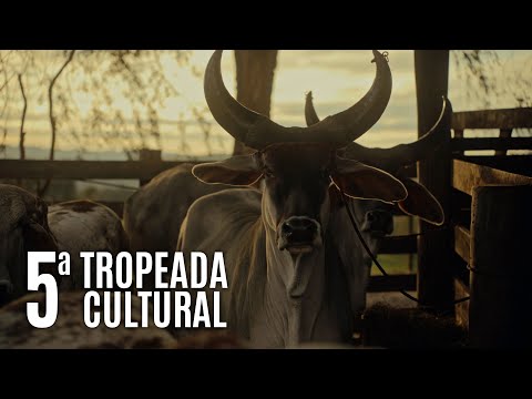 5ª TROPEADA CULTURAL (2025)