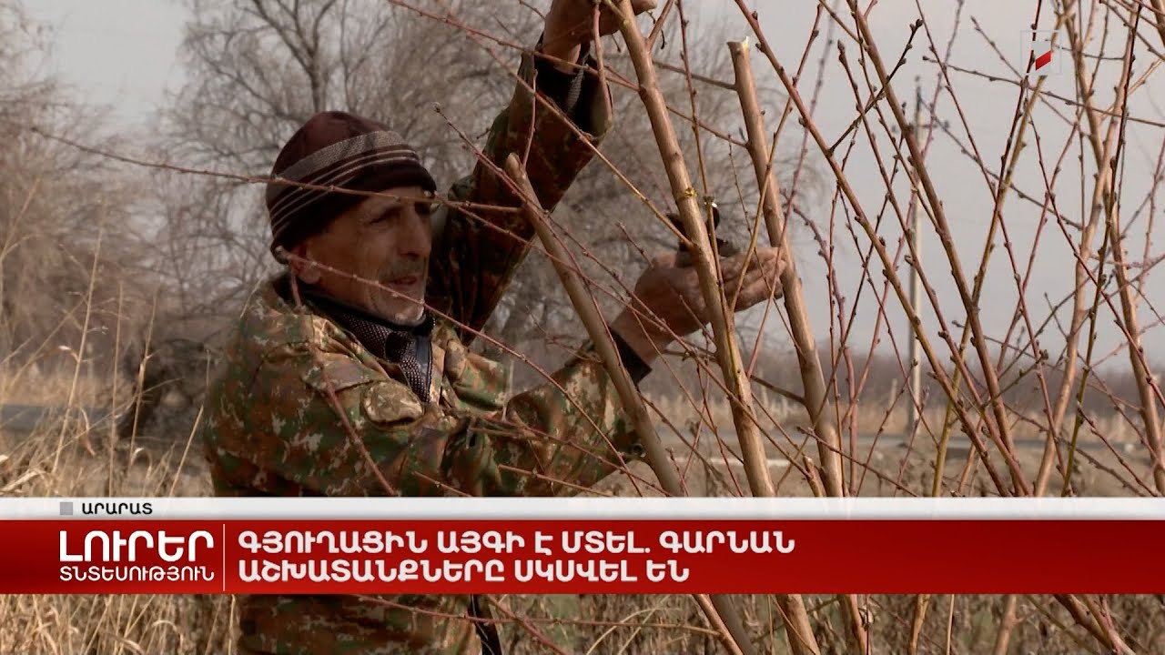 Գյուղացին այգի է մտել. գարնան աշխատանքները սկսվել են