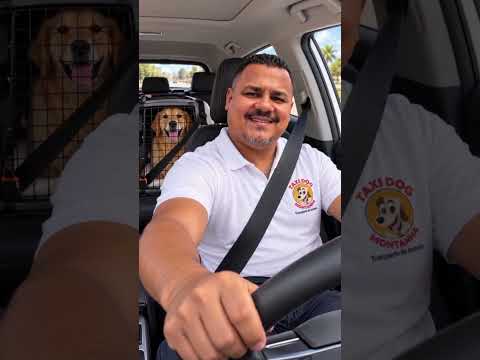 VAGA DE RETORNO ::: SALVADOR-BA para RIO DE JANEIRO-RJ ... @taxidogmontanha