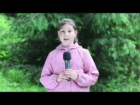 Vremea LIVE din Tabăra TV - Ioana Lazea