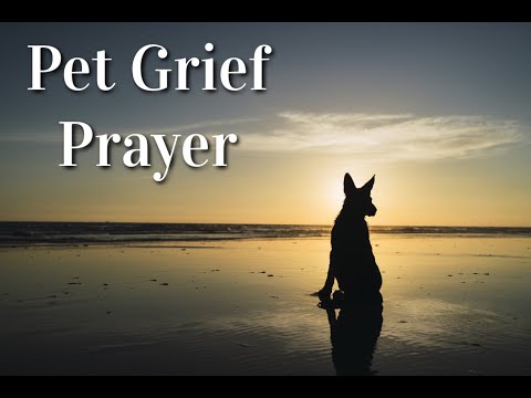 Pet Grief - A Prayer For When You're Grieving The Loss Of Your Animal Companion #petloss