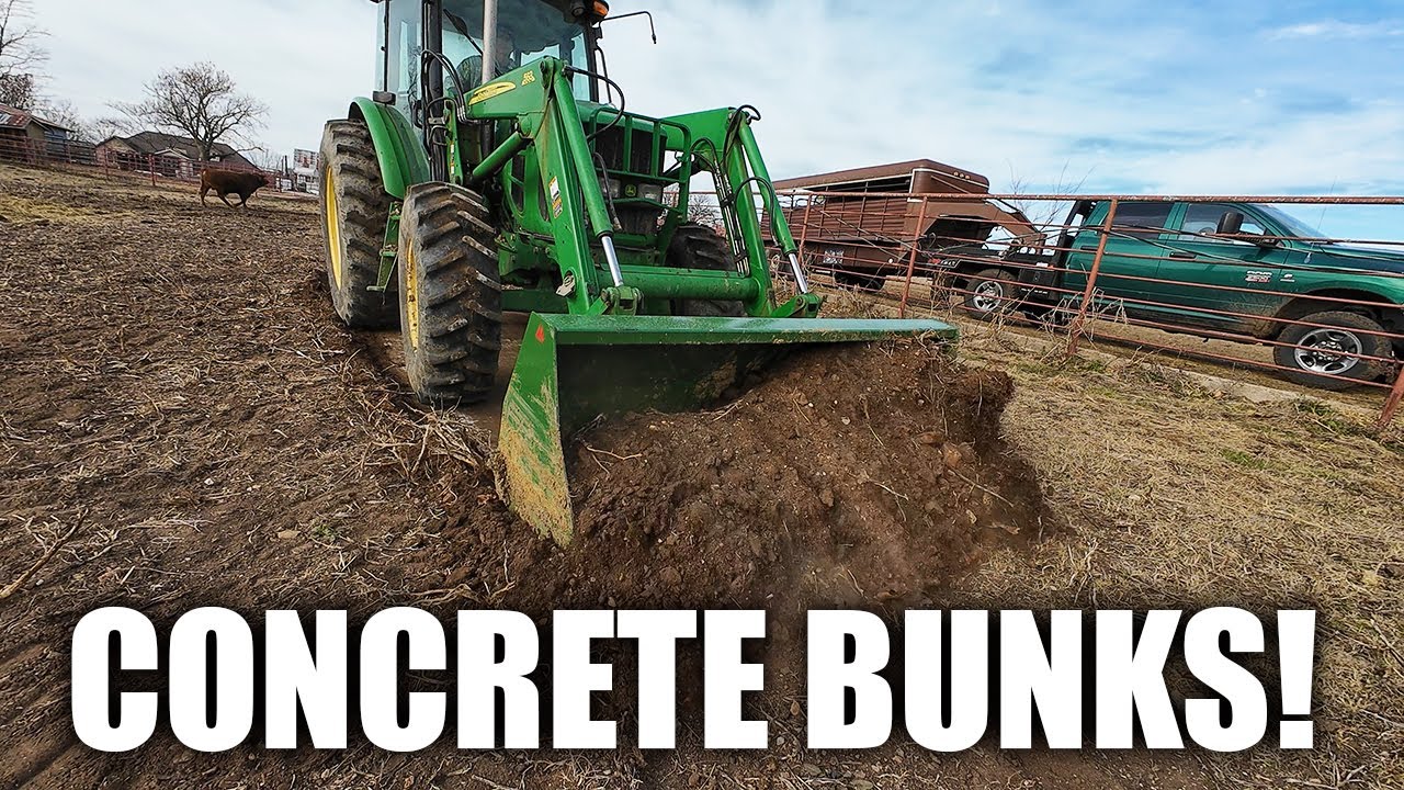 New Year, New Bunks, and New Cows!