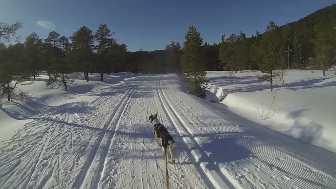 Skiing with Cassie