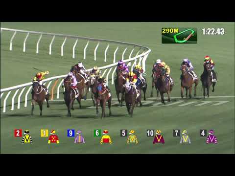 17/3/2021 (512) Ever Laugh -  A Badel