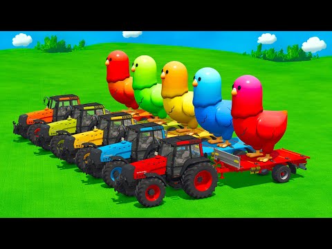 LOAD AND TRANSPORT GIANT CHICKENS WITH VALTRA TRACTORS & FORKLIFTS - Farming Simulator 25
