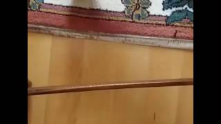 Adana Temizlik Şirketi - Albeyaz Temizlik - 0541 659 27 76