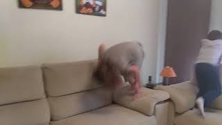 Con Nara dando volteretas