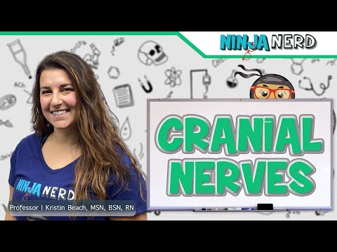 Cranial Nerves Overview