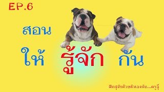 ฝึกสุนัขด้วยตัวเอง by ครูอุ๊ | Ep.6 : สอนสุนัขให้รู้จักกัน