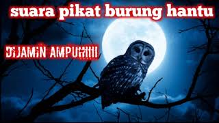 Download lagu suara pikat burung hantu// dijamin ampuh!!! mp3 Download lagu suara pikat burung hantu// dijamin ampuh!!! mp3