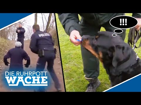 Such ! HUNDESTAFFEL bei Großfahndung im Einsatz | Die Ruhrpottwache | SAT.1