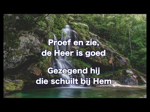 Opwekking 838 Ik zoek de Heer