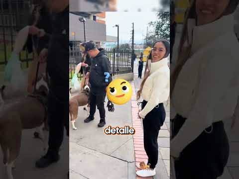 Perro reconoce a su humana 2 años después