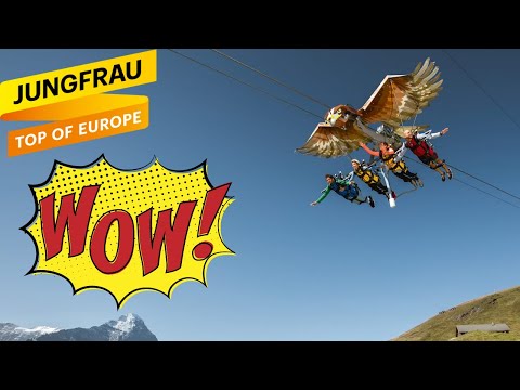 Grindelwald // FIRST GLIDER // soar like an eagle 4K