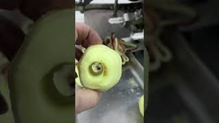 بيع معدات مطاعم أخرى Nagema ASETM Appelschilmachine - صورة 4 | Machineryline AE معدات مطاعم أخرى Nagema ASETM Appelschilmachine | صورة 4 - Machineryline