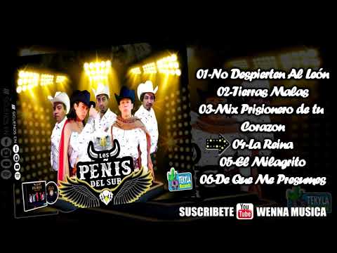 Los Peñis del Sur - Exitos Bailables 2019 - No Despierten al Leon - Compilado De Exitos