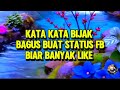 KATA KATA BIJAK BAGUS BUAT STATUS FB BIAR BANYAK LIKE