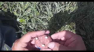 Рыбалка карась снасти соски
