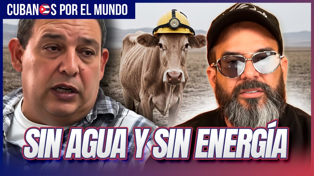 Otaola estalla: la ganadería en Cuba sin vacas, sin agua y sin vergüenza