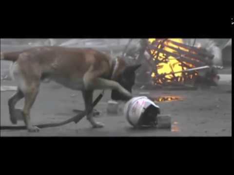 Johan Falk The Third Wave Trailer