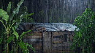 Lluvia Real que te Hace DORMIR en 10 Minutos: Sin Anuncios, Solo Relajación Profunda!