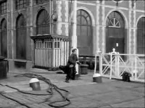 Meeuwen sterven in de haven