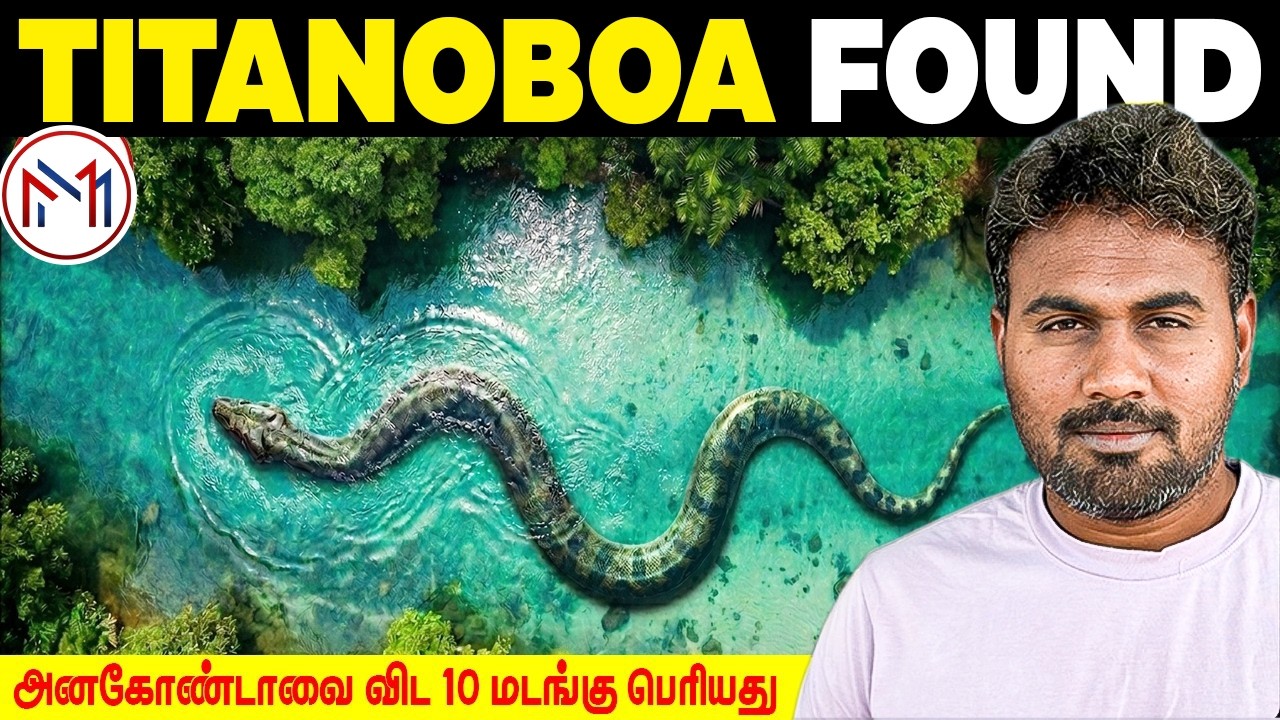 The Terrifying Snake That Once Ruled the Rainforest | Titanoboa Explained | Minutes Mystery