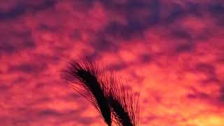 nancy sinatra &amp; lee hazlewood - some velvet morning (slowed + reverb)