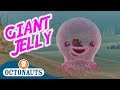 Octonauts Giant Jelly Full Episode Cartoons For Kids