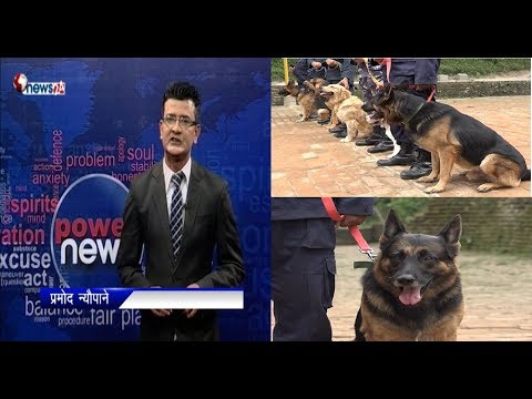 यसकारण कुकुर पूजनीय छ ! - POWER NEWS
