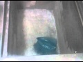Trippy Ass Glove