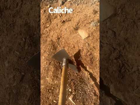 Tips for Finding Gold in the Desert #shorts