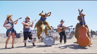 Hillbilly Synthesiser - The Pigs