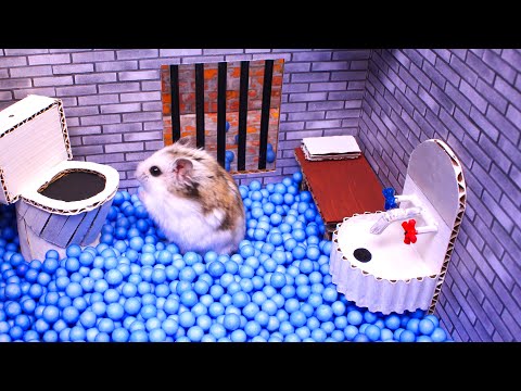 Fluffy Hamster`s Journey