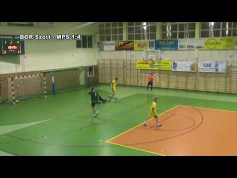 14.02.2010r. BOR-Szott - Swedwood MPS 1:8