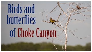 preview picture of video 'Exploring Choke Canyon State Park'