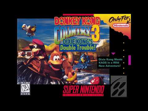 Best VGM 2223 - Donkey Kong Country 3 - Cavern Caprice