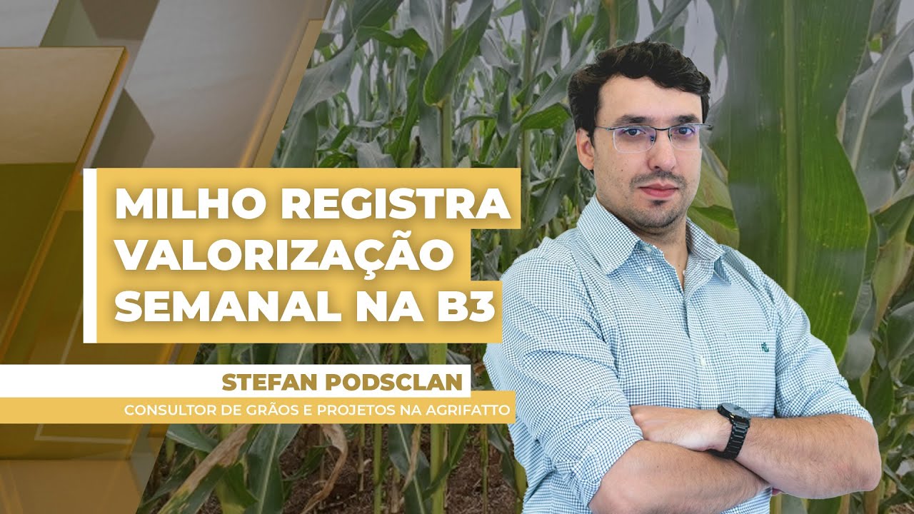 Atraso no plantio e demanda interna aquecida trazem valorizações semanais para o milho na B3