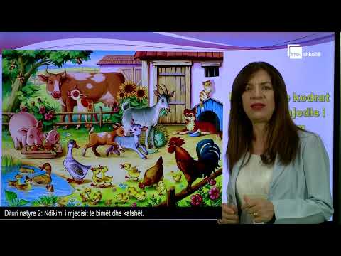 Ndikimi i mjedisit te bimët dhe kafshët | Dituri natyre 2