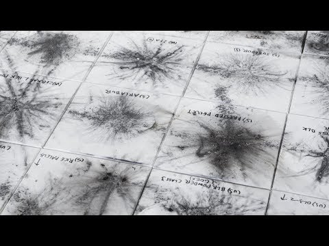 3- Proceso de creación de "El espíritu de la pintura. Cai Guo-Qiang en el Prado."