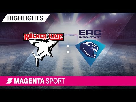 Kölner Haie - ERC Ingolstadt | 17. Spieltag, 19/20 | MAGENTA SPORT