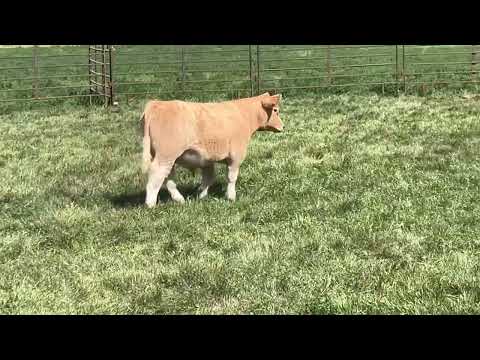 Tag 19 video