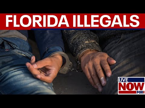 Video | Florida strengthens illegal immigration laws, lawmaker explains