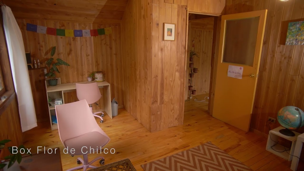 Ariela Javiera Concha Ferreccio-5