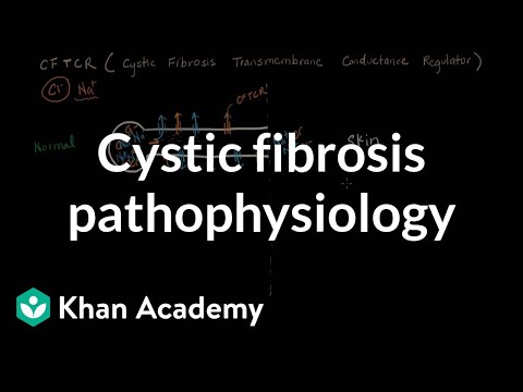 嚢胞性線維症の病態生理｜呼吸器系疾患｜NCLEX-RN｜カーンアカデミー (Cystic fibrosis pathophysiology | Respiratory system diseases | NCLEX-RN | Khan Academy)
