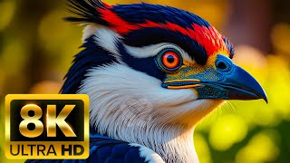 🐾 ANIMALS WORLD 8K (60FPS) – Discovering Beautiful & Mysterious Habitats
