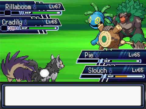 Pokemon Rejuvenation Intense Mono Dark: Botanist Florin