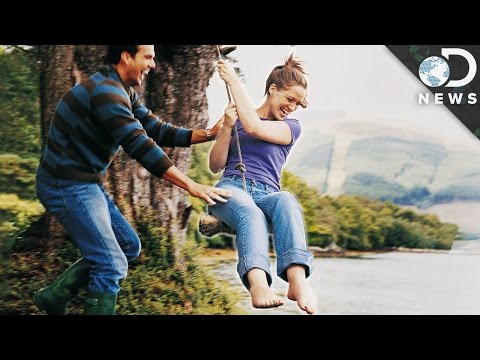 Playtime Makes Your Brain Better