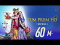 Tum Prem Ho Tum Preet Ho Radha Krishna SLOWED REVERB Bhajan Lofi 2023