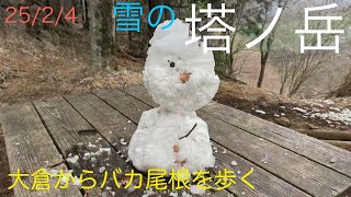 【 塔ノ岳〜大山縦走登山PART1】2025/2/4登山　雪の塔ノ岳を観にバカ尾根を歩く！